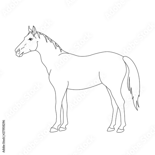 A standing horse hand-drawn by line. 