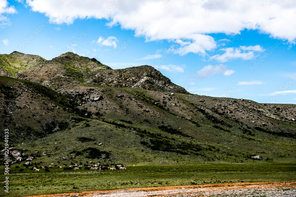 Obraz premium Beautiful Altai mountains in spring