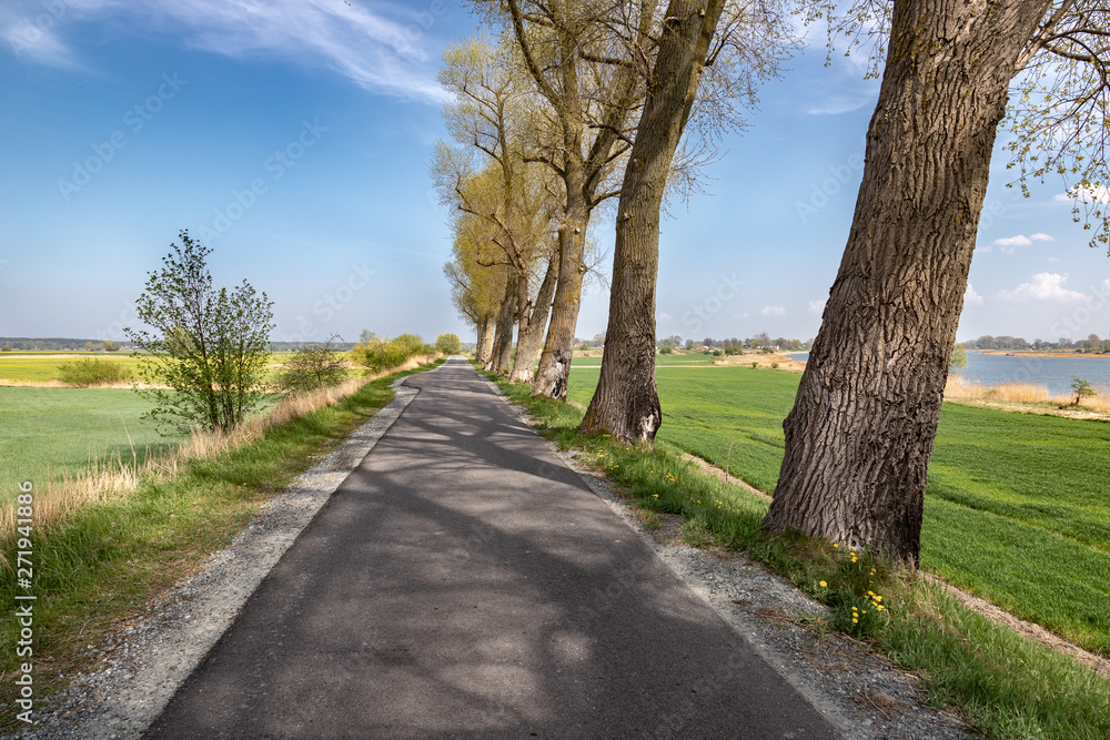Landscape of village road with old trees and river in the back.
