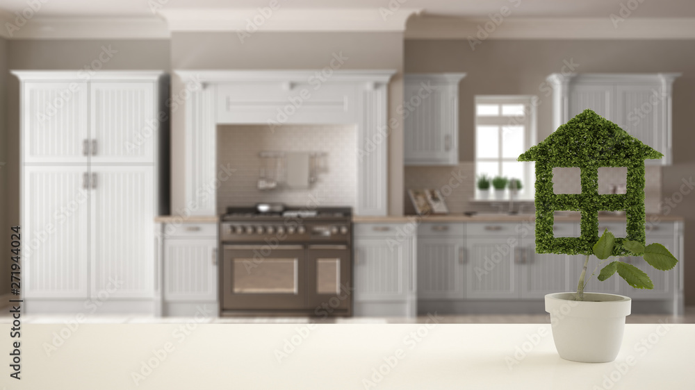 White table top or shelf with green plant in pot shaped like house, modern blurred kitchen in the background, interior design, real estate, eco architecture concept idea White table top or shelf with green plant in pot shaped like house, modern blurred kitchen in the background, interior design, real estate, eco architecture concept idea