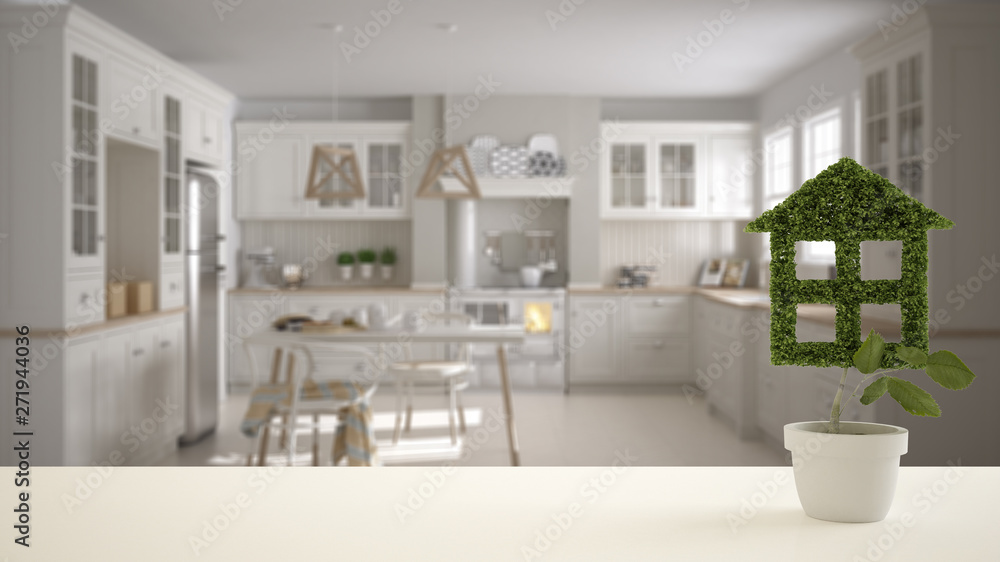 White table top or shelf with green plant in pot shaped like house, modern blurred kitchen in the background, interior design, real estate, eco architecture concept idea White table top or shelf with green plant in pot shaped like house, modern blurred kitchen in the background, interior design, real estate, eco architecture concept idea