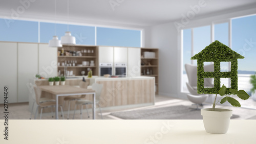 White table top or shelf with green plant in pot shaped like house  modern blurred kitchen in the background  interior design  real estate  eco architecture concept idea