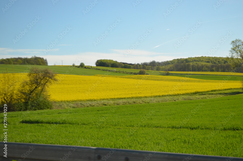 Obraz premium Landschaft