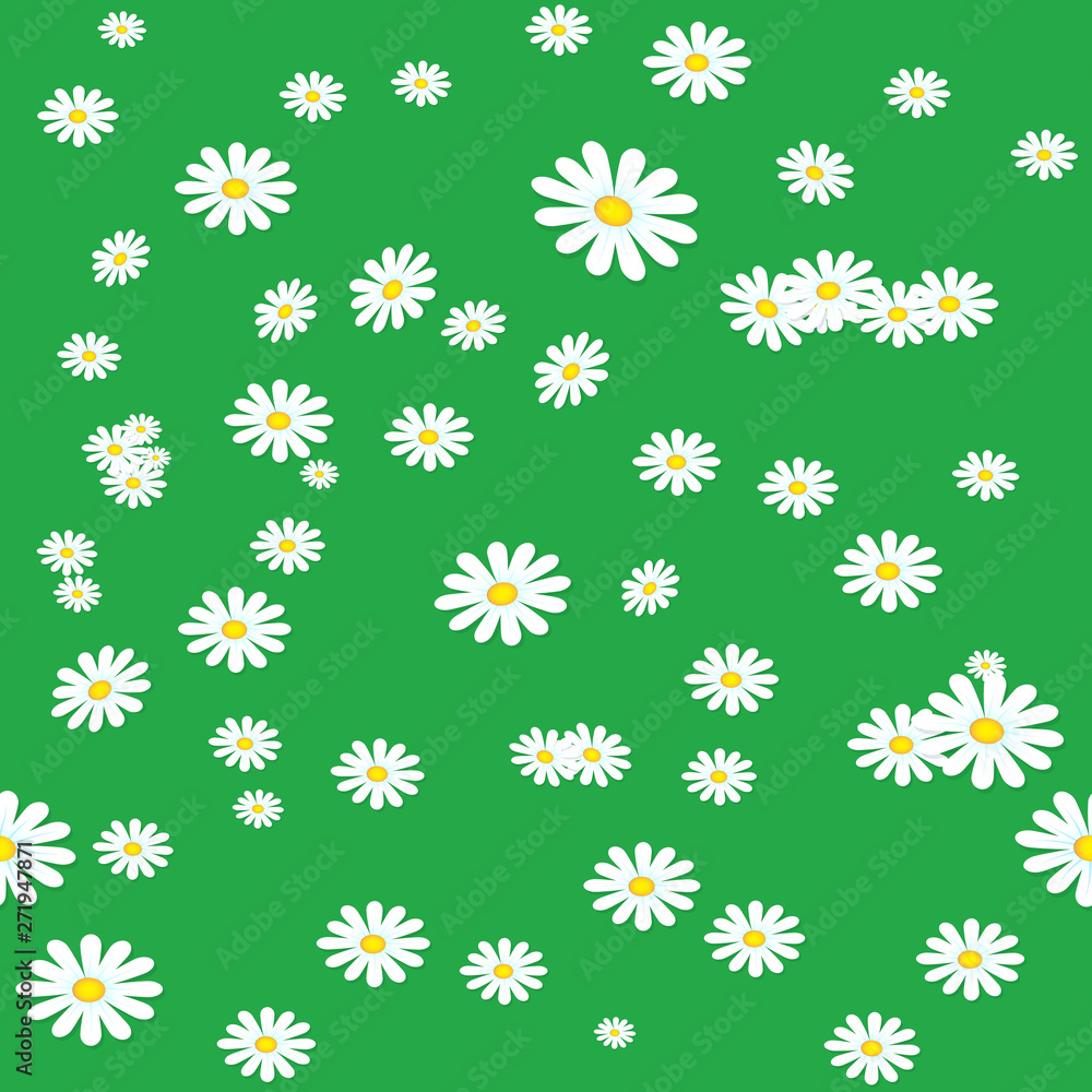 Seamless daisies background