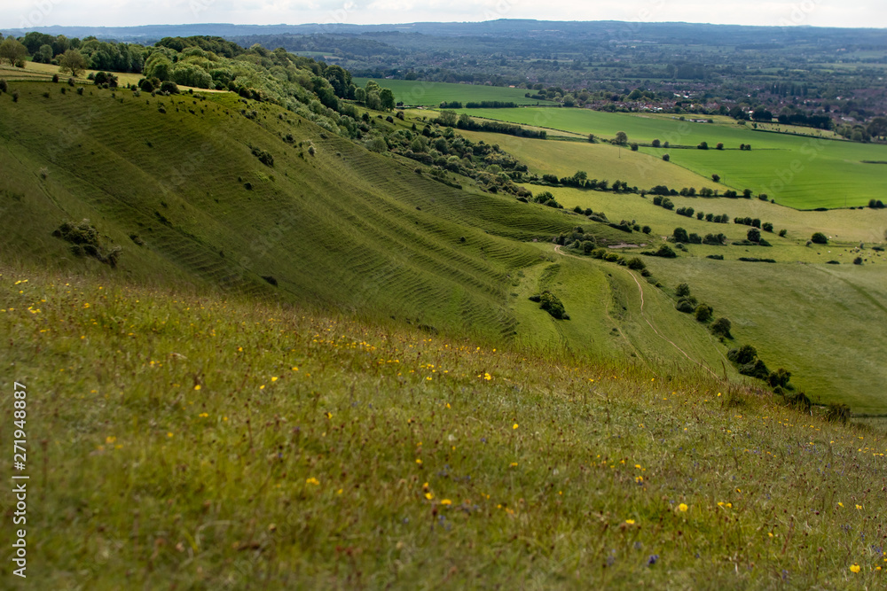 Obraz premium Landscape