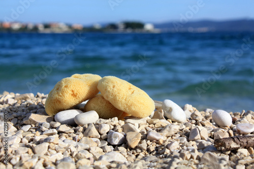 Sea sponges on the sea beach. Face care. Cosmetic.