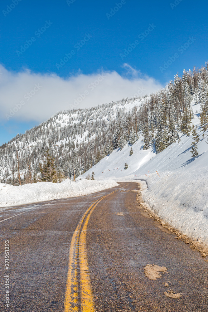 A road through a snowy Utah woodland landscape A road through a snowy Utah woodland landscape