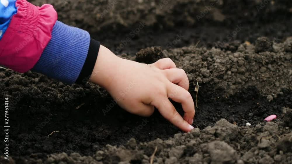 Girl sowing pink seeds