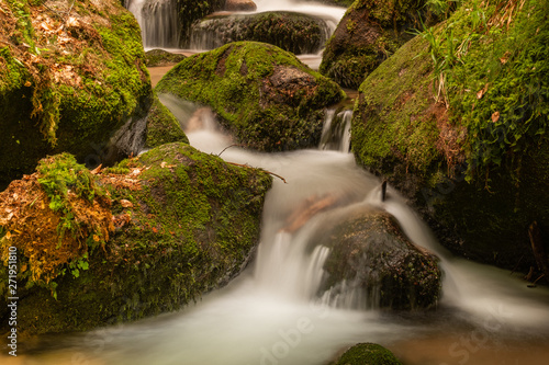 Blackforest Waterfall