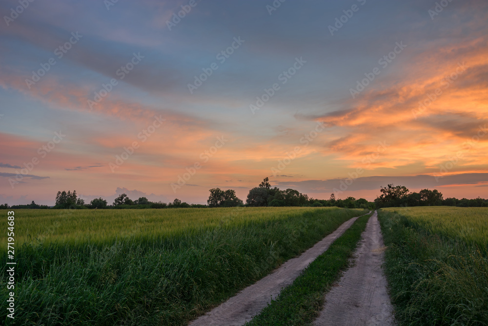 Fototapeta premium Wiejska droga przez zielone pola, horyzont i chmury po zachodzie słońca