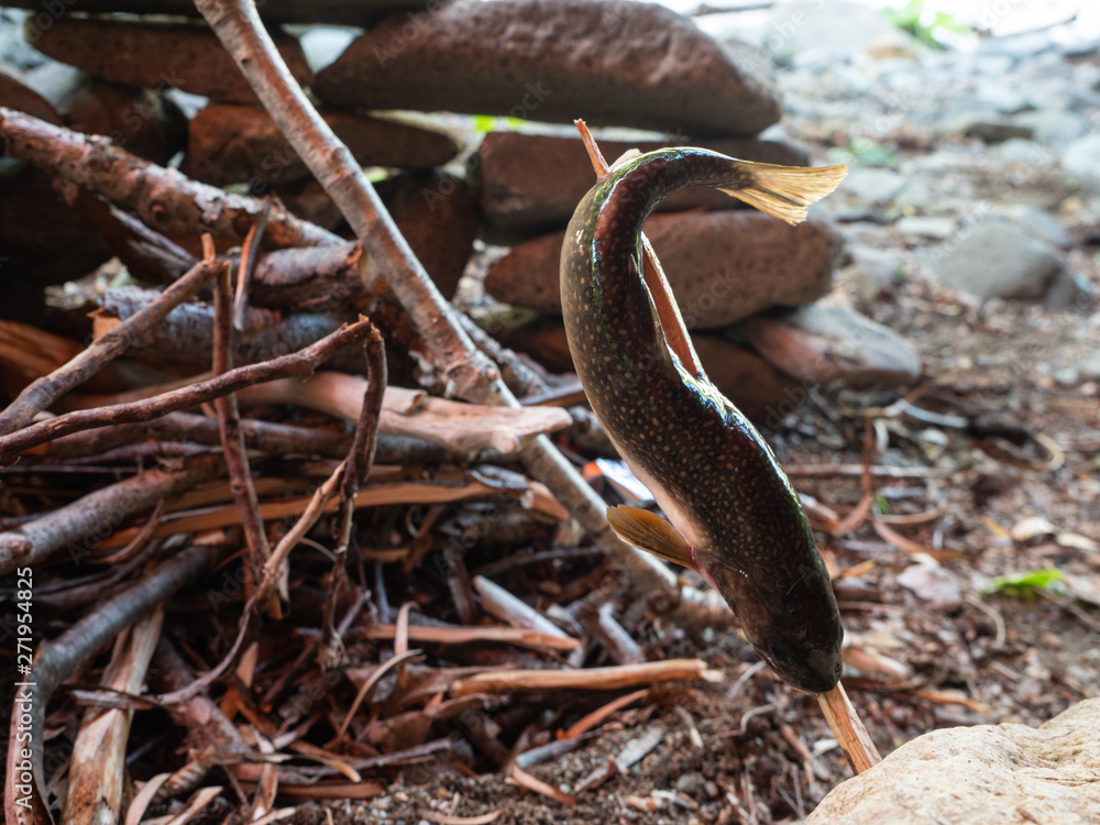 Obraz premium 魚 丸焼き 焚き火 キャンプ