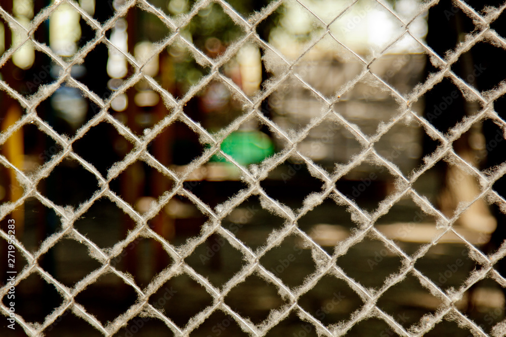 Naklejka premium twisted woven metal mesh covered with poplar down on a blurred background close-up. fencing allergens on the street in summer. copy space