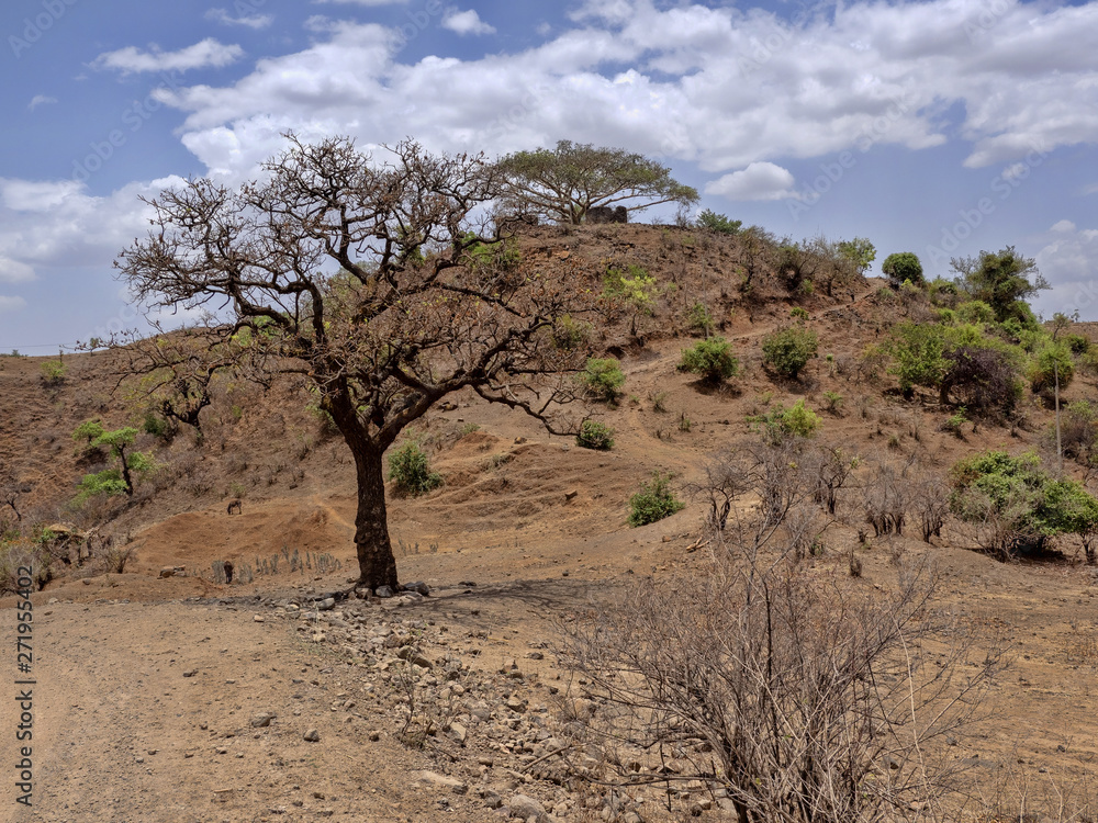 The beauty of a mountainous landscape in northern Ethiopia The beauty of a mountainous landscape in northern Ethiopia