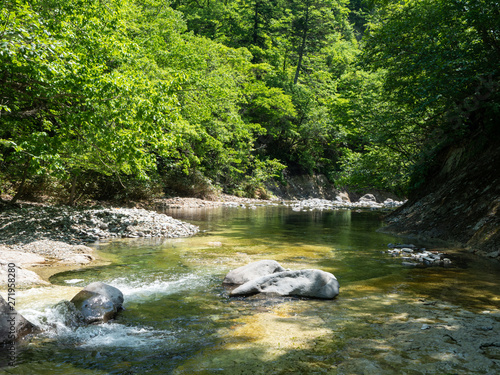 渓流 川 せせらぎ 上流