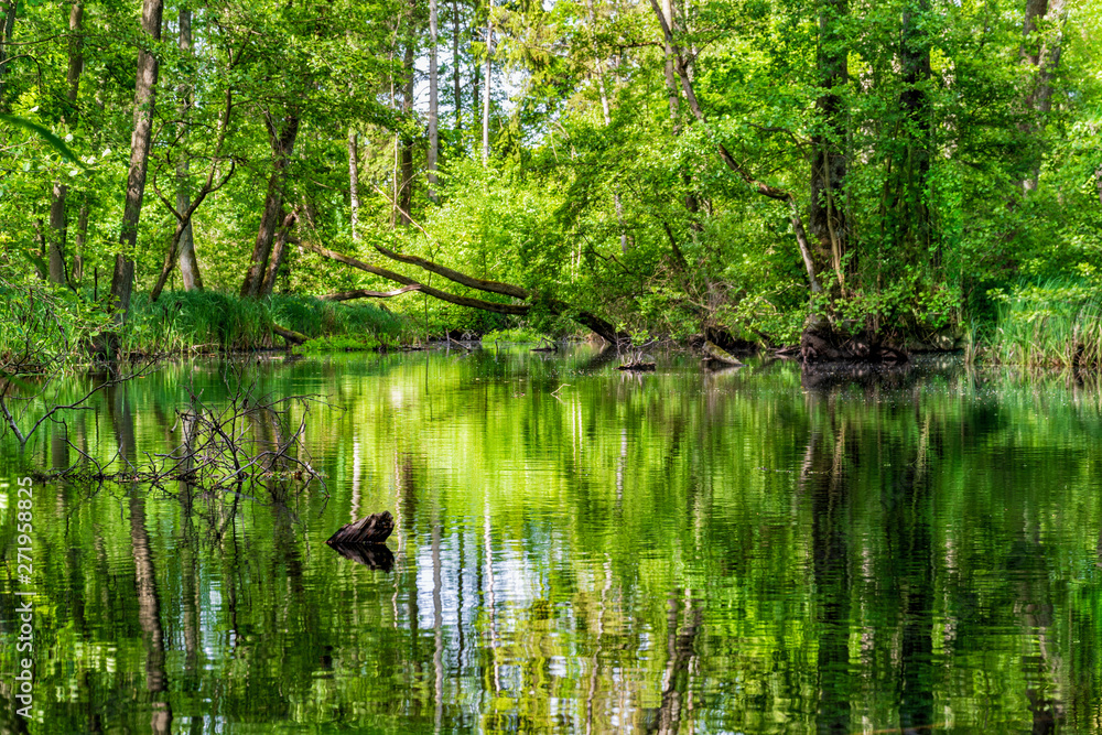 Landschaft und Meditation in Mecklenburg: Im Naturraum Nebeltal bei Kuchelmiß am Krakower See Landschaft und Meditation in Mecklenburg: Im Naturraum Nebeltal bei Kuchelmiß am Krakower See