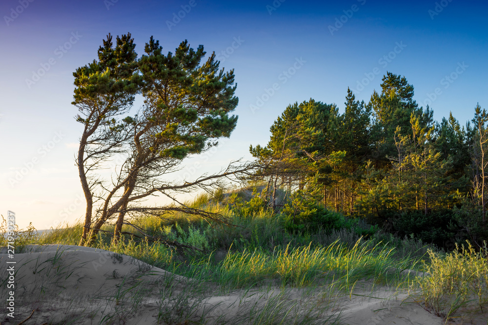 Baltic sea coastline near Liepaja, Latvia Baltic sea coastline near Liepaja, Latvia