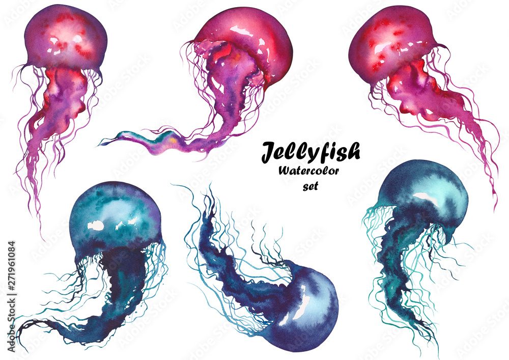 Fototapeta premium Set of red and blue jellyfishes. Watercolor illustration on white background. Isolated elements for design.