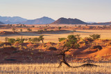 unberührte Landschaft am Rande der Namib, Namibia