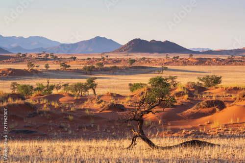 unberührte Landschaft am Rande der Namib, Namibia