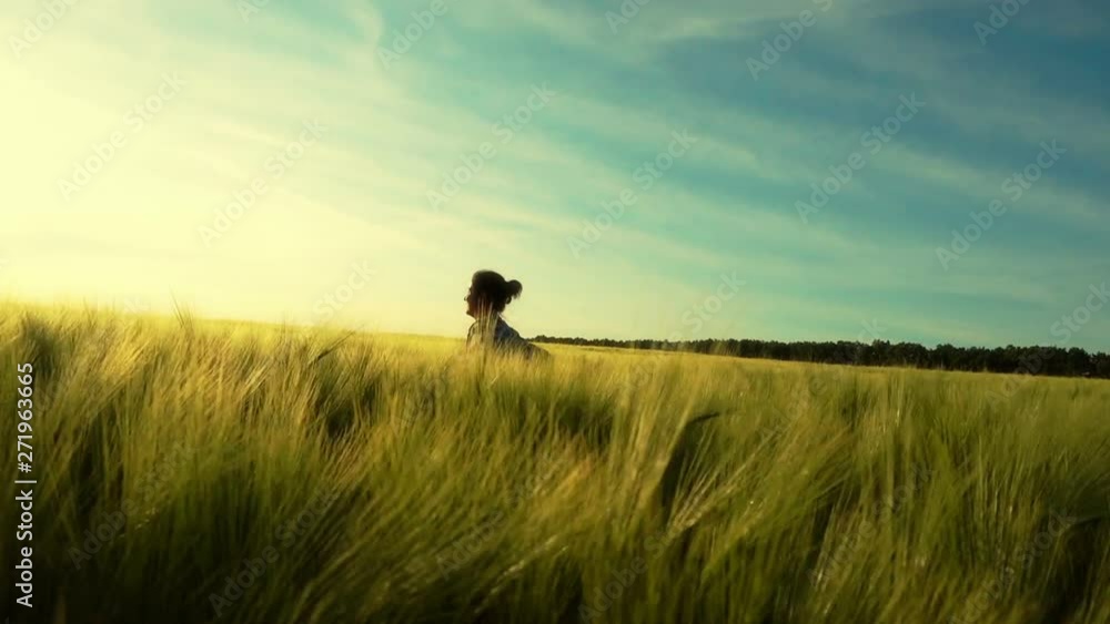The girl happily walks through a wheat field. A young woman whirls in the field at sunset. The girl happily walks through a wheat field. A young woman whirls in the field at sunset.