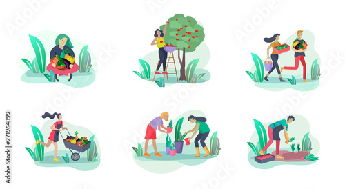 Harvesting and gardening people doing farming and garden job, pick berries, remove weeds, watering, planting, growing and transplant sprouts, lay ripe vegetables to box. Reaping crop concept