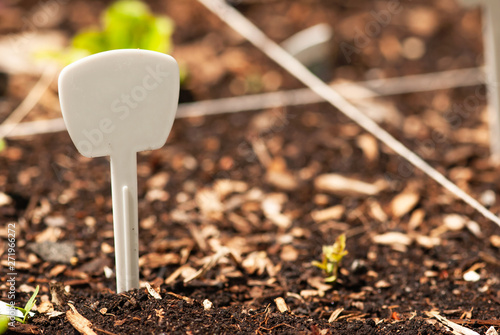 Plant Marker