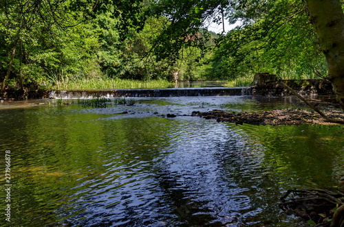   agnetic landscape of summer nature  green deciduous forest and river Iskar with small  waterfall close up in the Lozen mountain  Bulgaria  Europe  