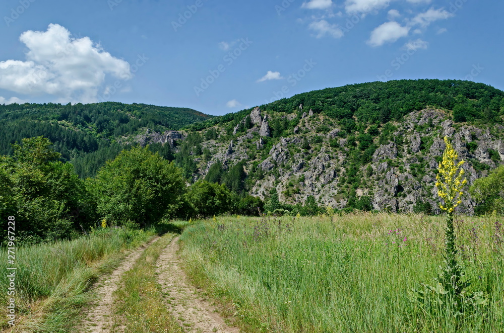General view with road toward large and well formed rocks resemble humans, beasts and other bizarre forms of peak Garvanets or raven is the most interesting natural landmark of Lozenska mountain, Bulg General view with road toward large and well formed rocks resemble humans, beasts and other bizarre forms of peak Garvanets or raven is the most interesting natural landmark of Lozenska mountain, Bulg