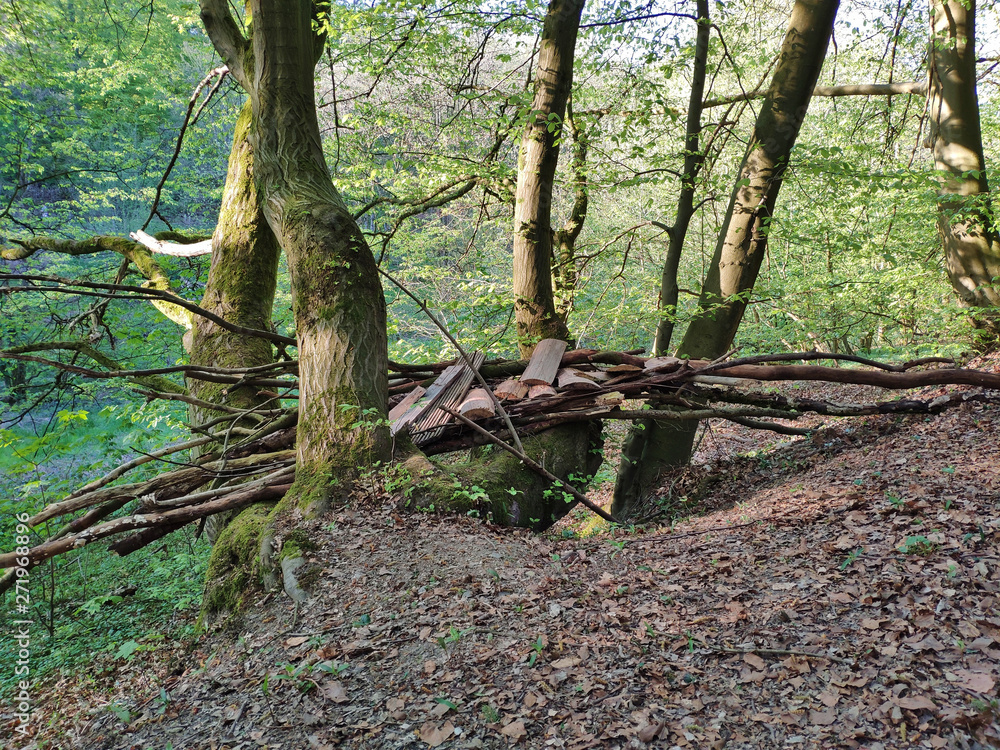 Broken self made bridge in the forrest Broken self made bridge in the forrest