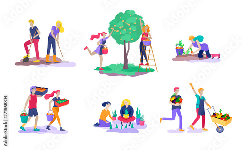 Harvesting and gardening people doing farming and garden job, pick berries, remove weeds, watering, planting, growing and transplant sprouts, lay ripe vegetables to box. Reaping crop concept