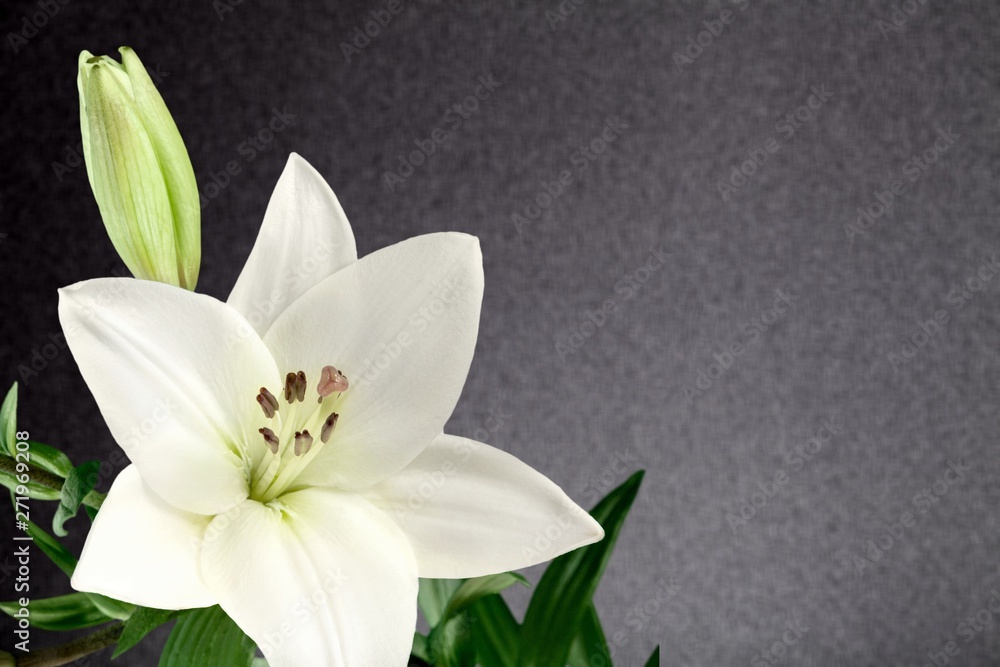 Obraz premium Bereavement.