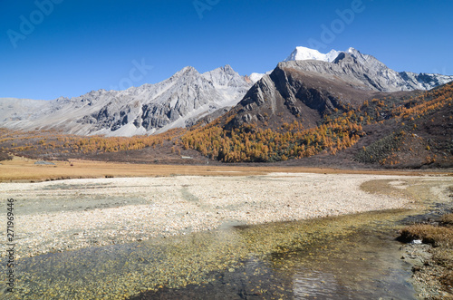 Colorful in autumn forest and snow mountain at Yading nature reserve.