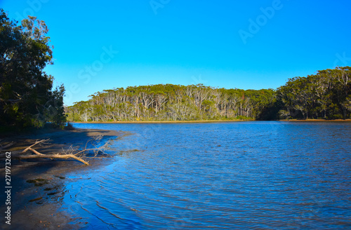 Woolgoolga Lake and creek are sorrunded by trees near Coffs Harbour.  Woolgoolga Lake is a great place for canoeing, kayaking, swimming and birdwatching. photo