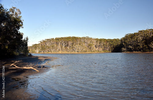 Woolgoolga Lake and creek are sorrunded by trees near Coffs Harbour.  Woolgoolga Lake is a great place for canoeing, kayaking, swimming and birdwatching. photo