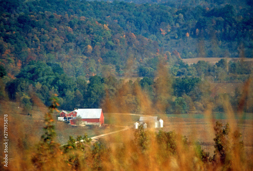 Unique Midwestern autumn scene