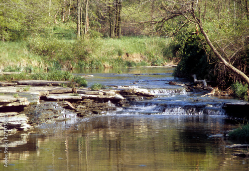 Small trickling creek with rocky bans and trees along the side