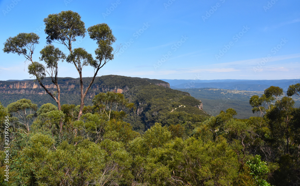 Scenic views of Narrowneck plateau which divides the Jamison and Megalong valleys in the Blue Mountains, Australia. View from Cahill's lookout.