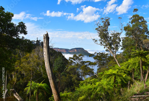 Photography Scenic views of Narrowneck plateau which divides the Jamison and Megalong valleys in the Blue Mountains, Australia