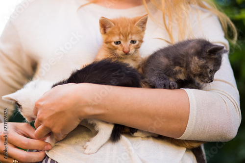 young girl holding three beautiful kittens outdoor adoption concept. homeless kittens. the problem of stray animals
