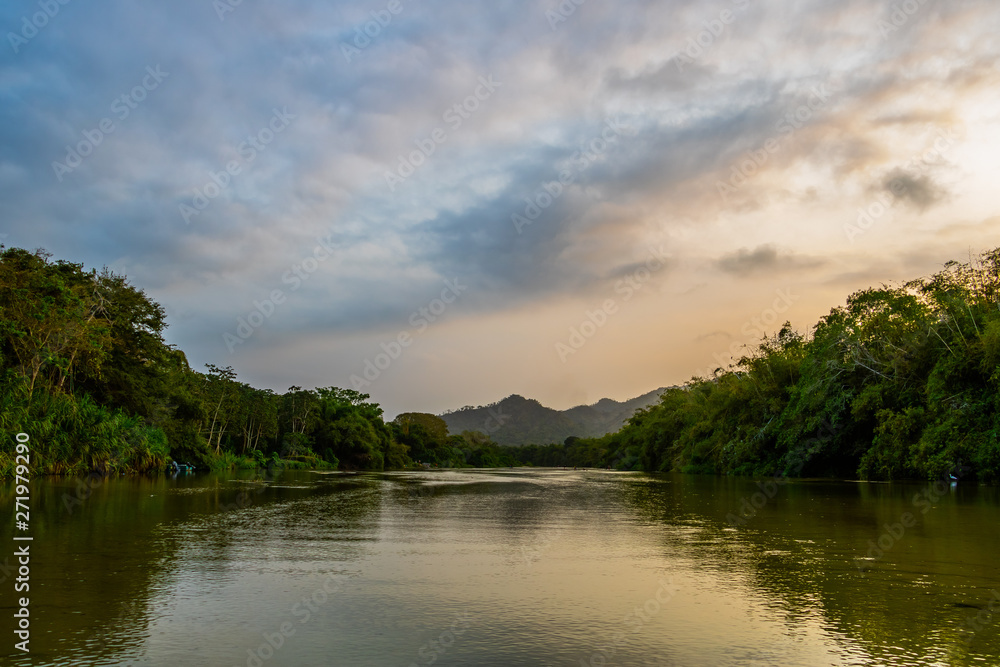 A wide, shallow river streams calmly through the deep South American jungle at blue violet dusk A wide, shallow river streams calmly through the deep South American jungle at blue violet dusk