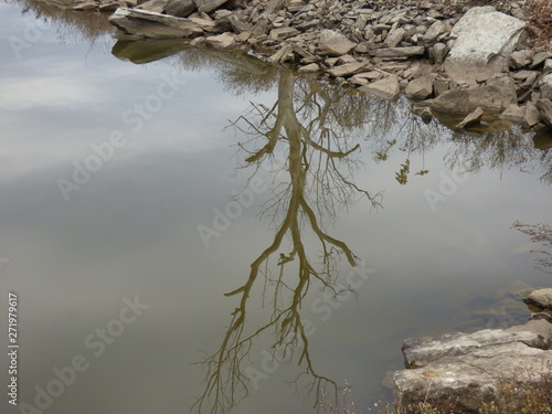 reflection