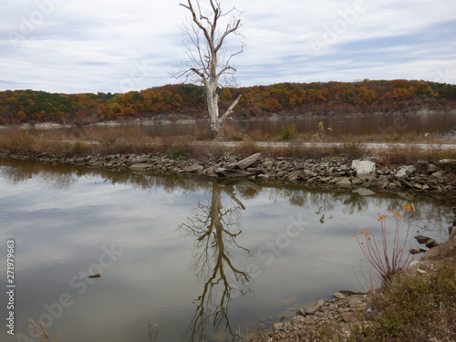 lake reflections