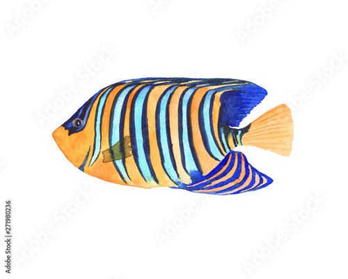 hand drawn watercolor illustration of colorful bright tropical fish isolated on white background