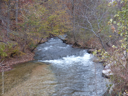 autumn stream