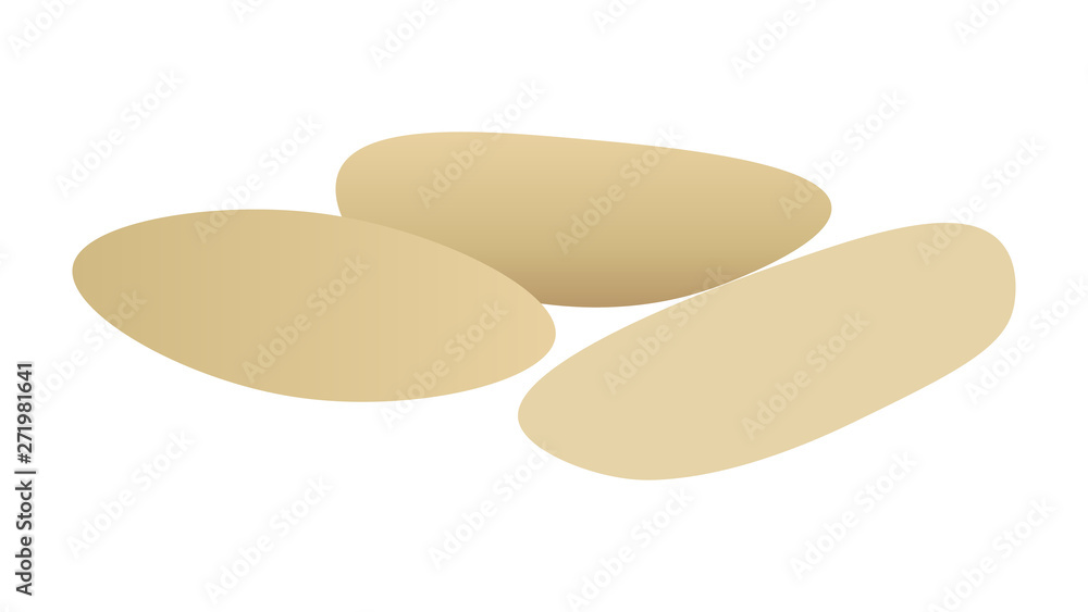 Pine nuts isolated vector illustration Pine nuts isolated vector illustration
