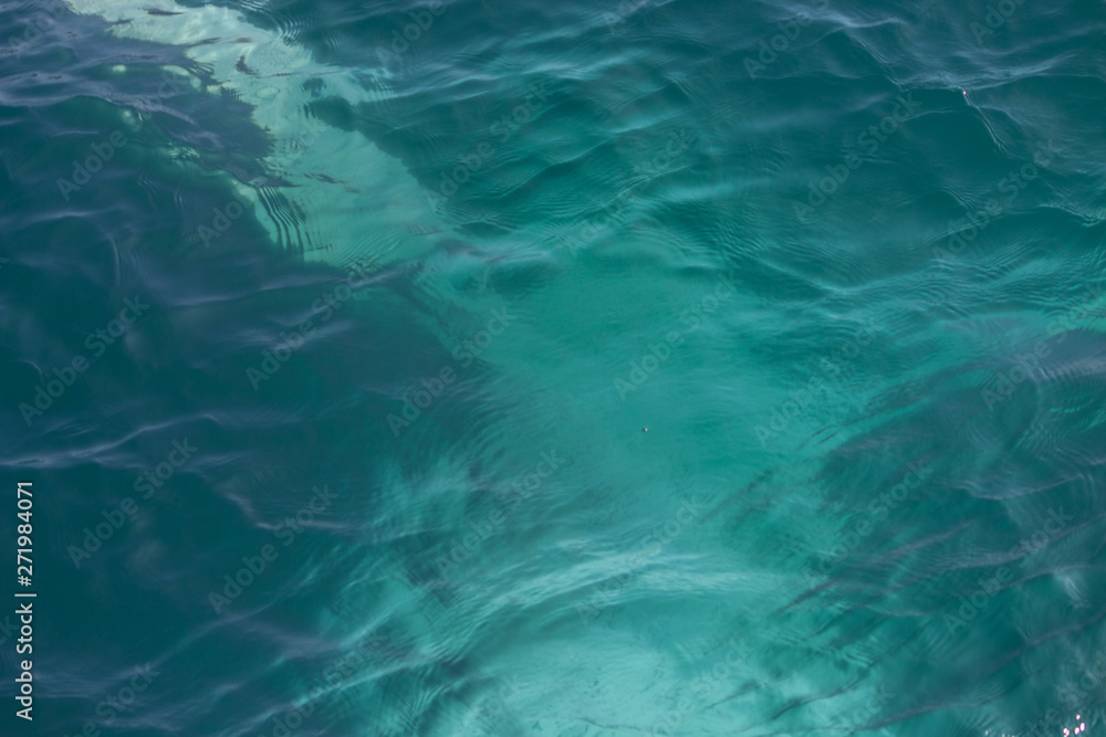 Fototapeta premium fin of an humpback whale in peru