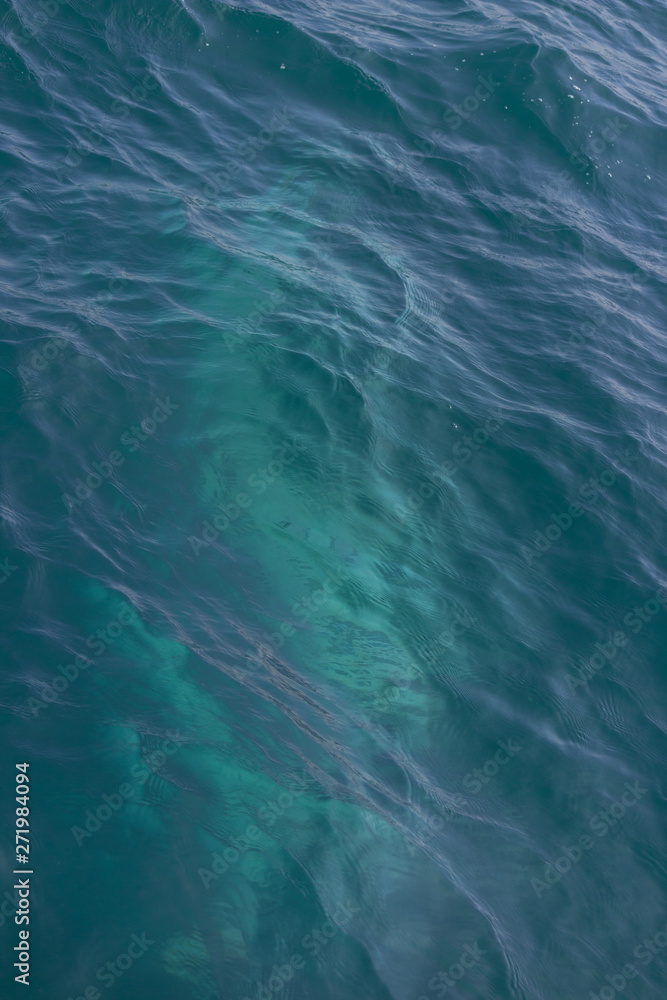 fin of an humpback whale in peru