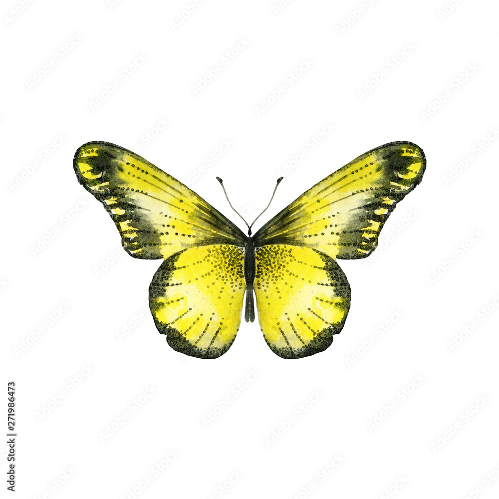 Obraz premium Yellow butterfly in watercolor