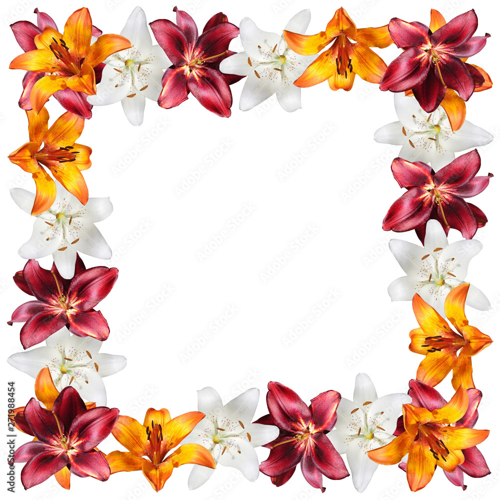 Beautiful floral pattern of white, orange and burgundy lilies. Isolated