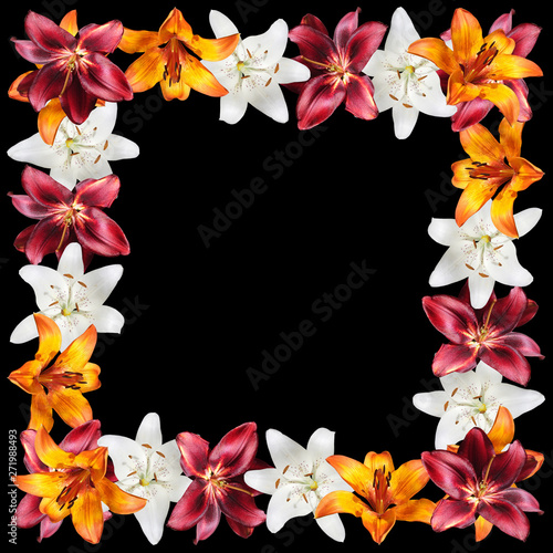 Beautiful floral pattern of white  orange and burgundy lilies. Isolated